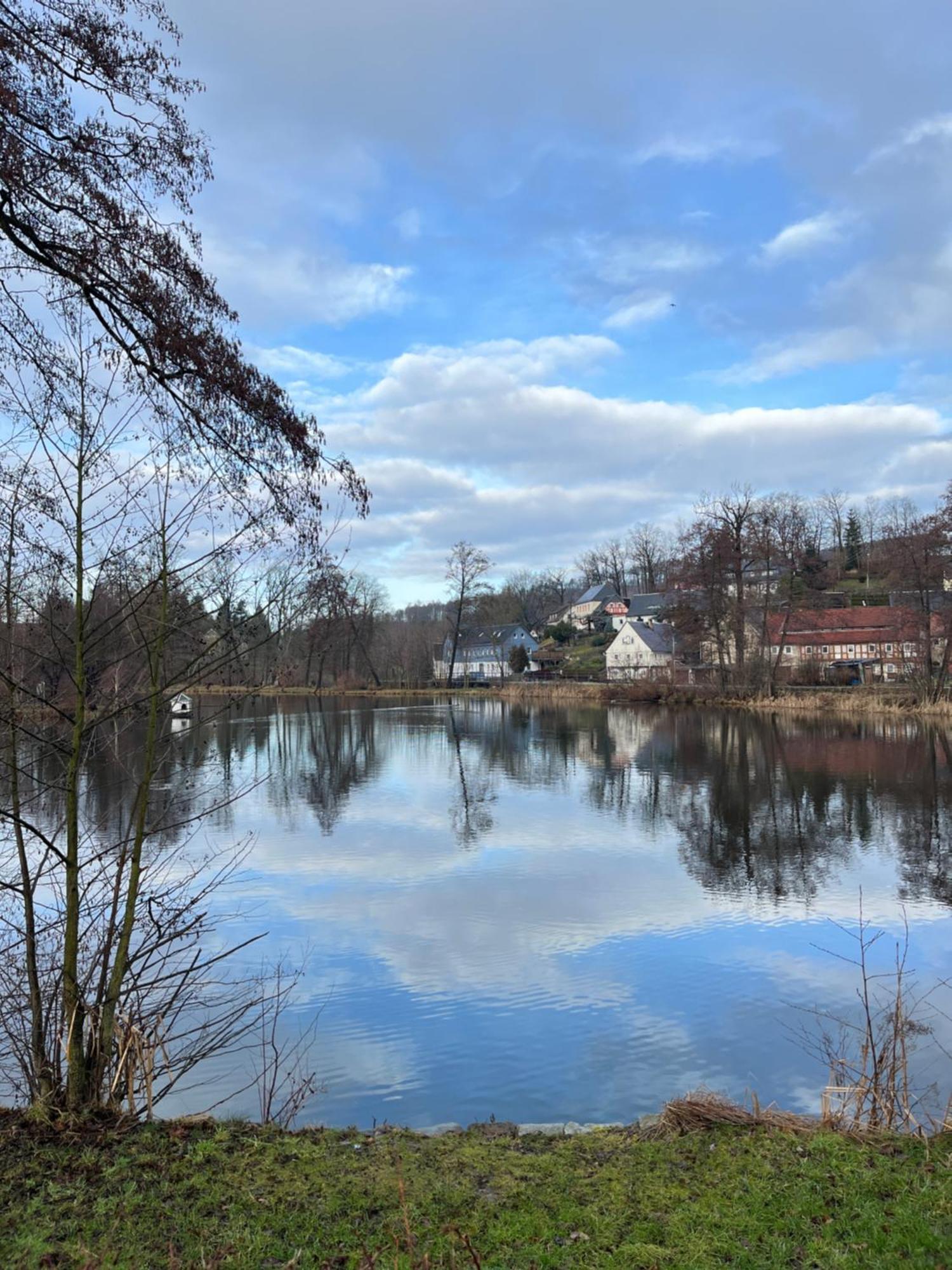 Idyll Am Weigsdorfer Teich * Cunewalde